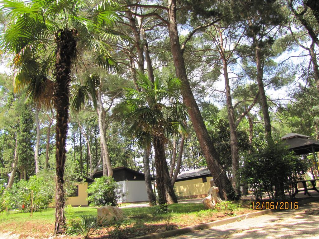 Holiday Park Mimoza Bašanija Exteriör bild